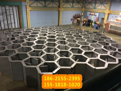 一站式蜂巢迷宮租賃 專業(yè)廠家提供攝像與制作服務